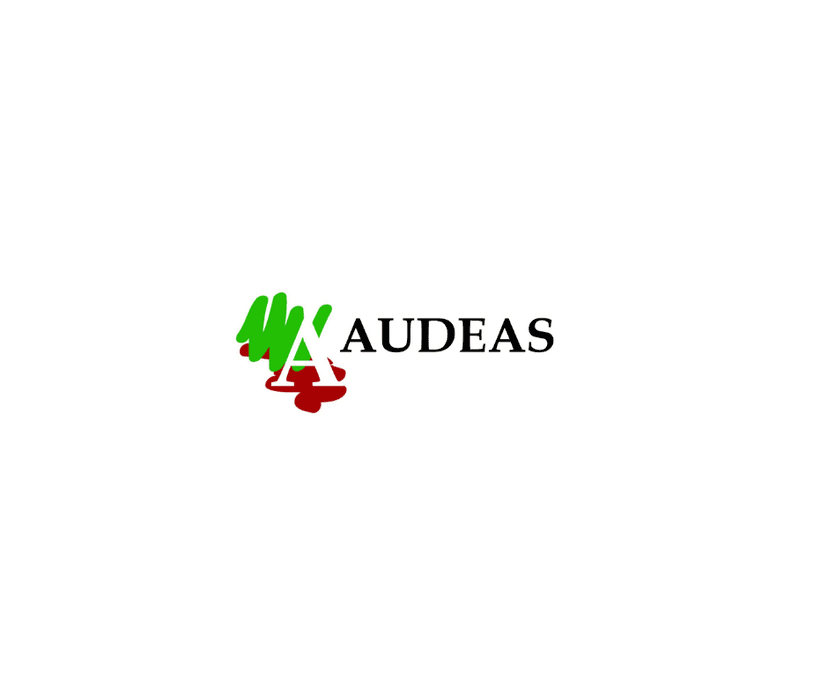 Comunicado de AUDEAS en rechazo a las políticas de ajuste implementadas por el Gobierno Nacional